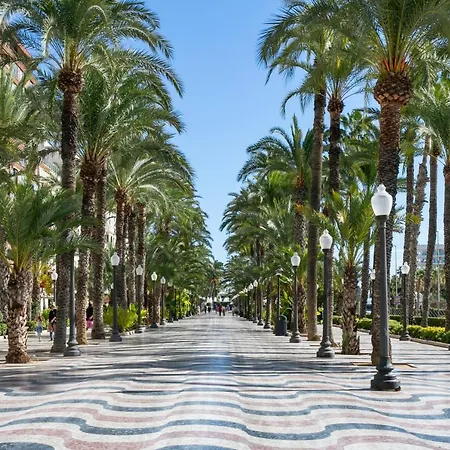 Apartment Suite, City&mountain View