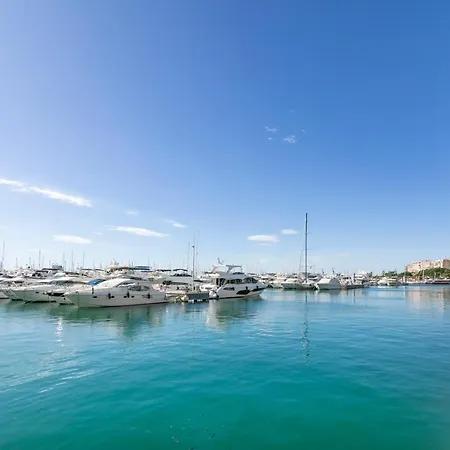 Apartment Suite, City&mountain View Alicante