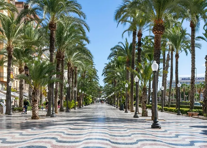 Апартаменты Suite, & Mountain View